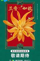 电视剧兰香如故免费播放